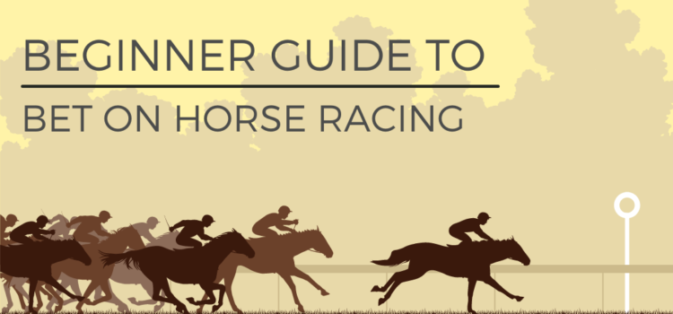 Guide To Bet On Horse Racing blog featured image
