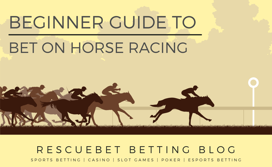Guide To Bet On Horse Racing blog featured image