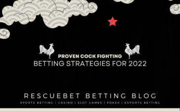 Cock Fighting Betting Strategies For 2022 blog featured image