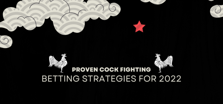 Cock Fighting Betting Strategies For 2022 blog featured image